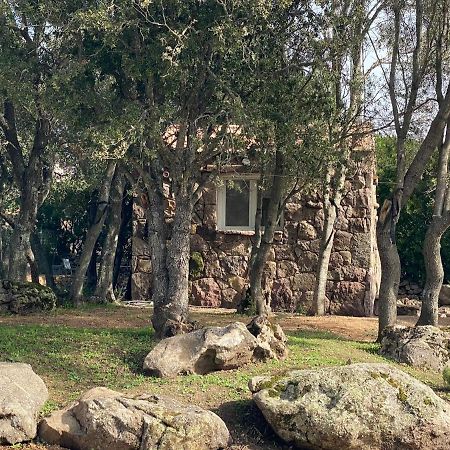 U Caseddu Sartène Dış mekan fotoğraf